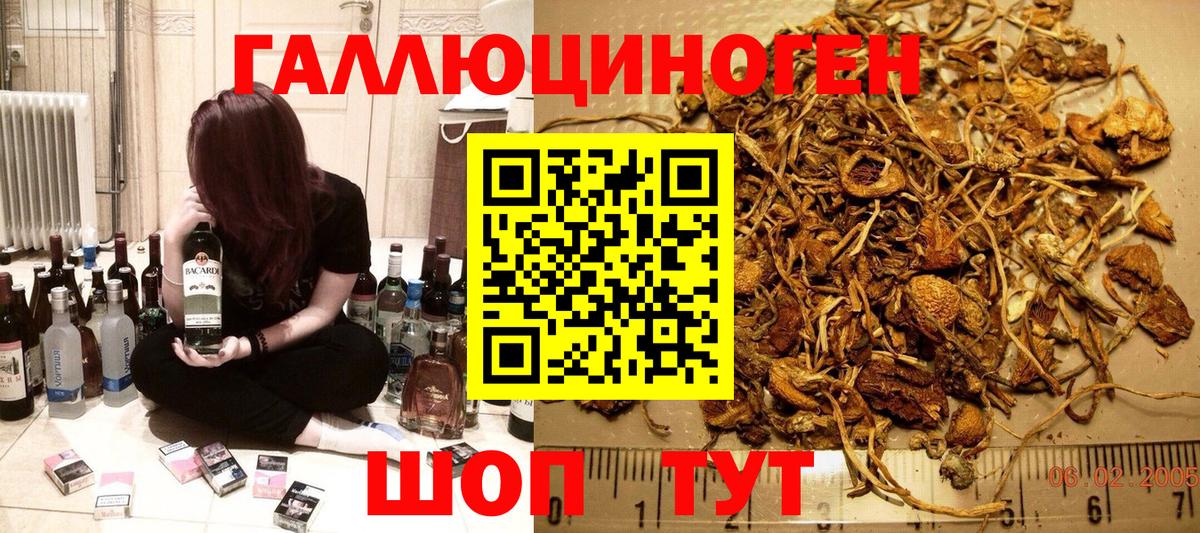 Галлюциногенные грибы мицелий Сафоново