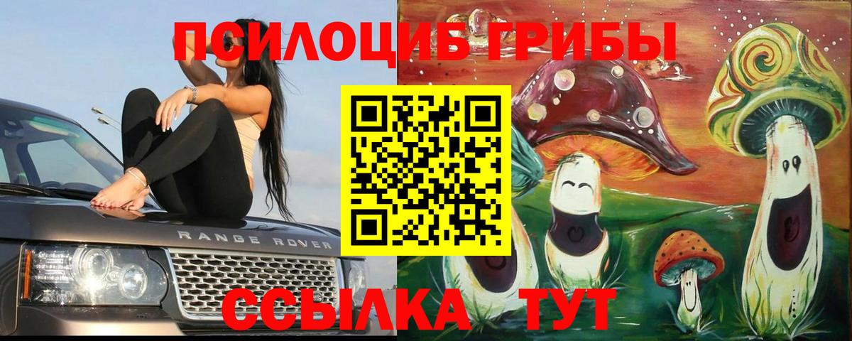 Сафоново  Галлюциногенные грибы прущие грибы  Вход с VPN 